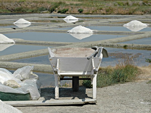 HistoryOfSalt HistoryOfSalt